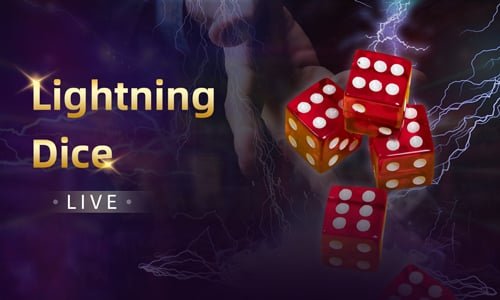 7788bet8