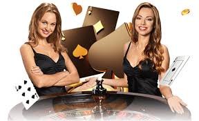 7788bet8